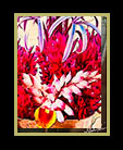 Pot of flowers in Belize #2 thumbnail